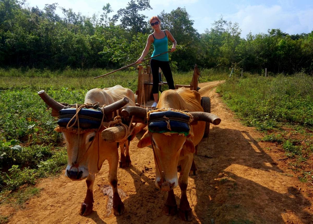 I'm not the best driver, so I rented some bulls...