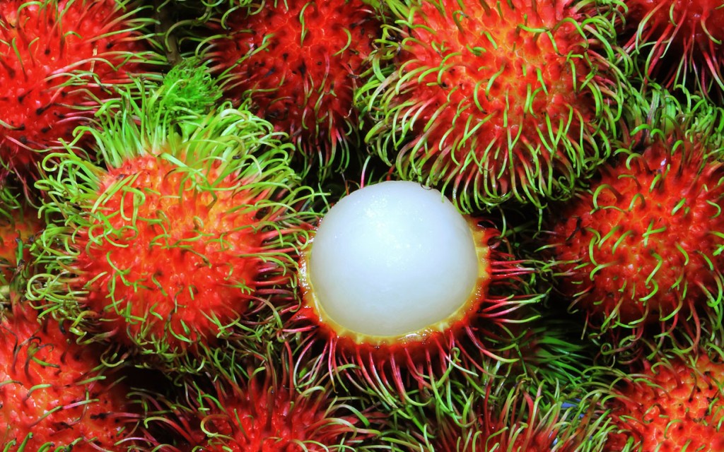 weird fruit rambutan