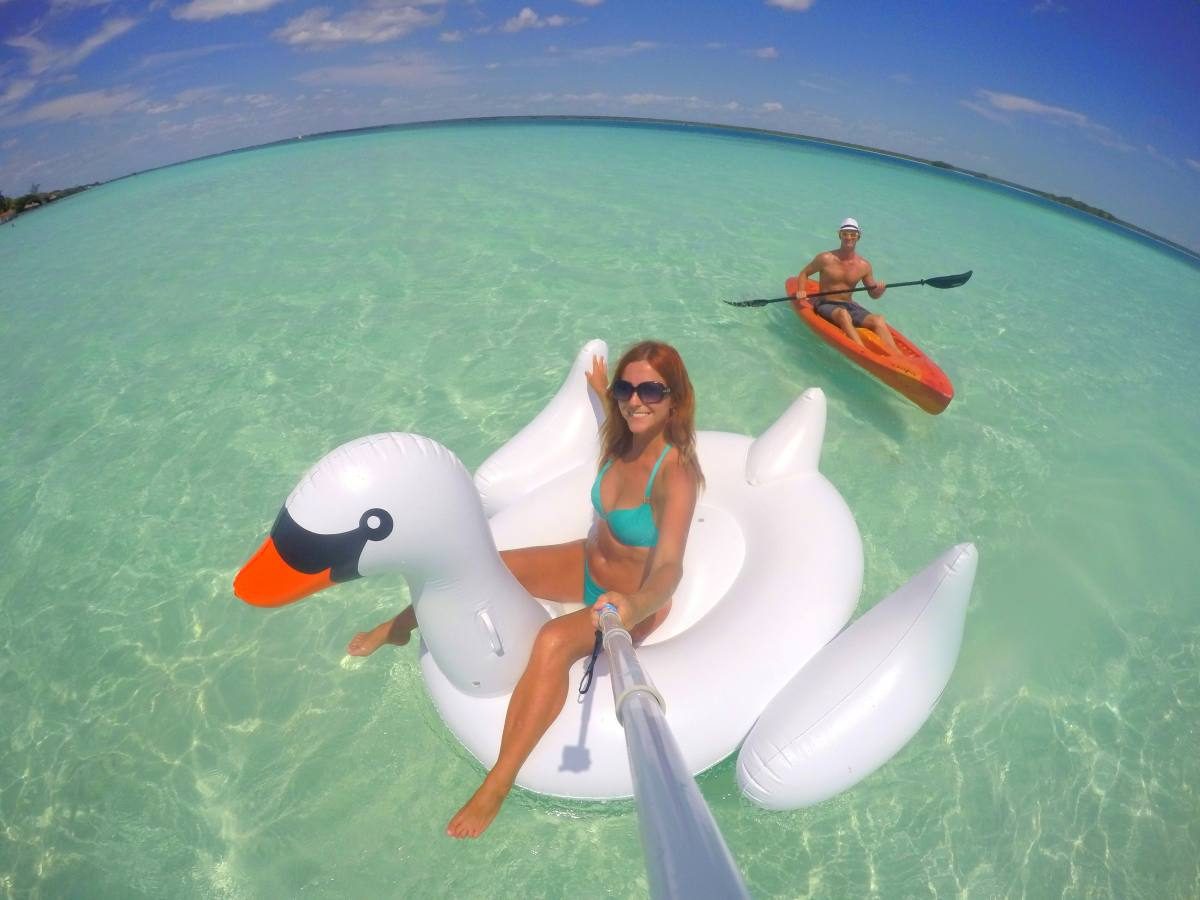 giant swan