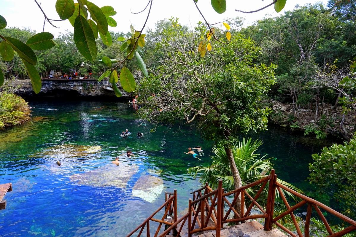 cenotes between tulum and playa del carmen