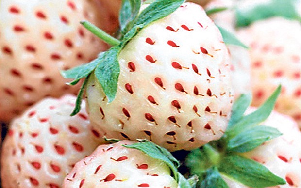 Weird Fruits You Probably Never Heard Of