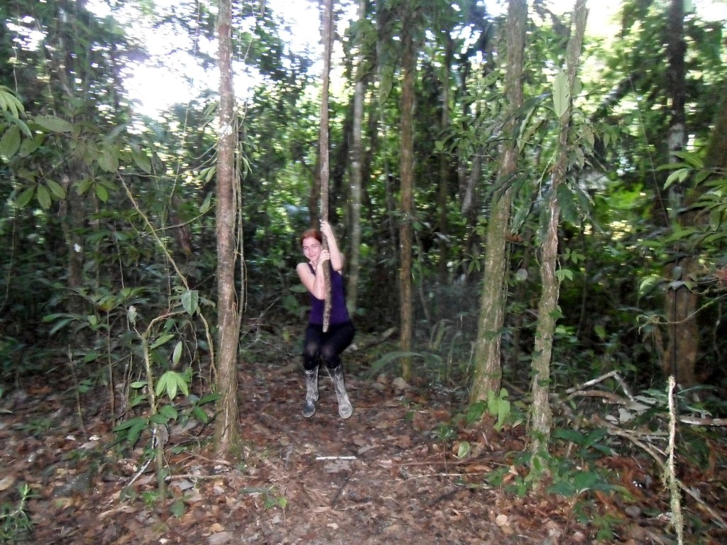 Amazon Rainforest in Ecuador