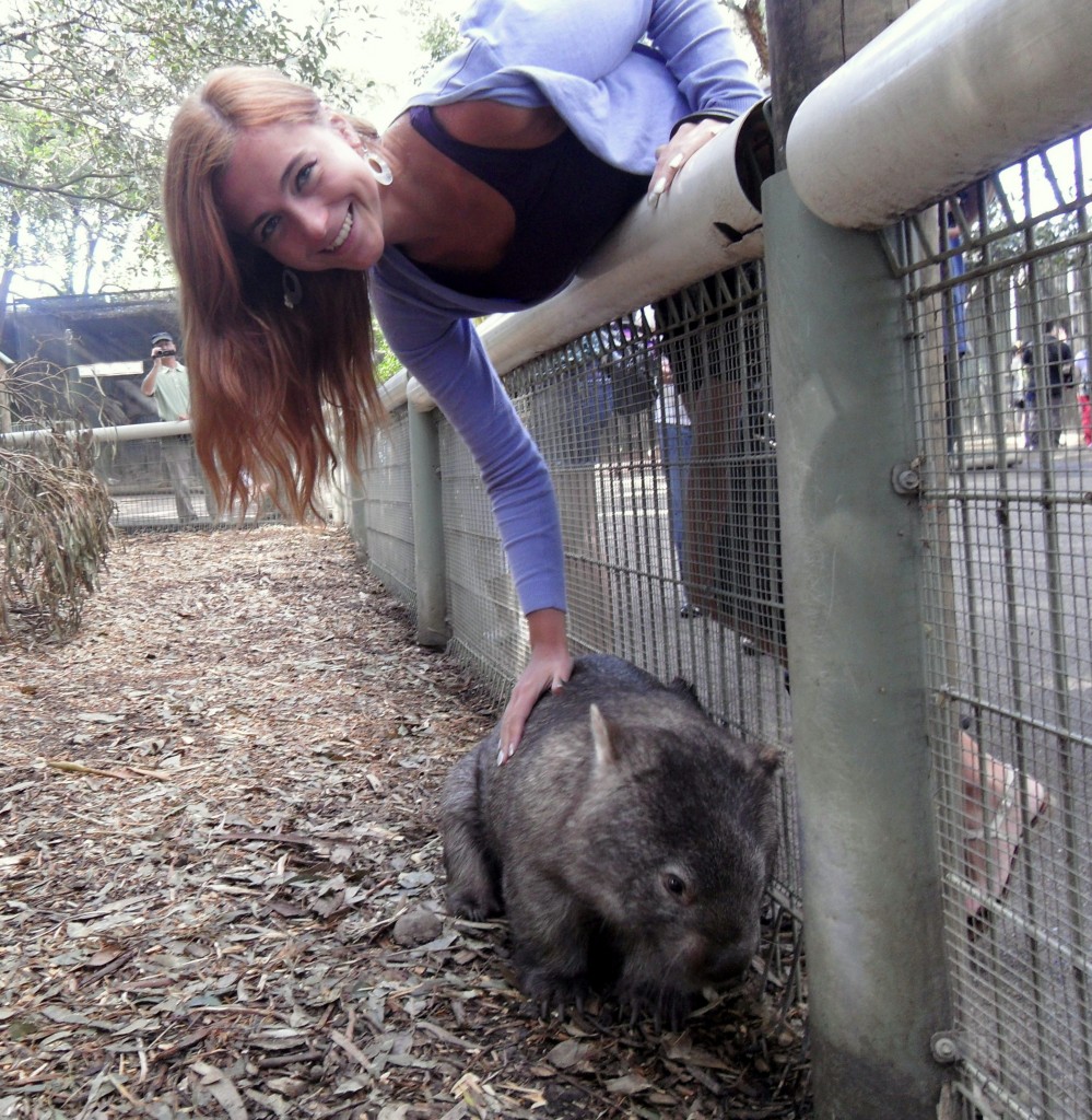 wombat