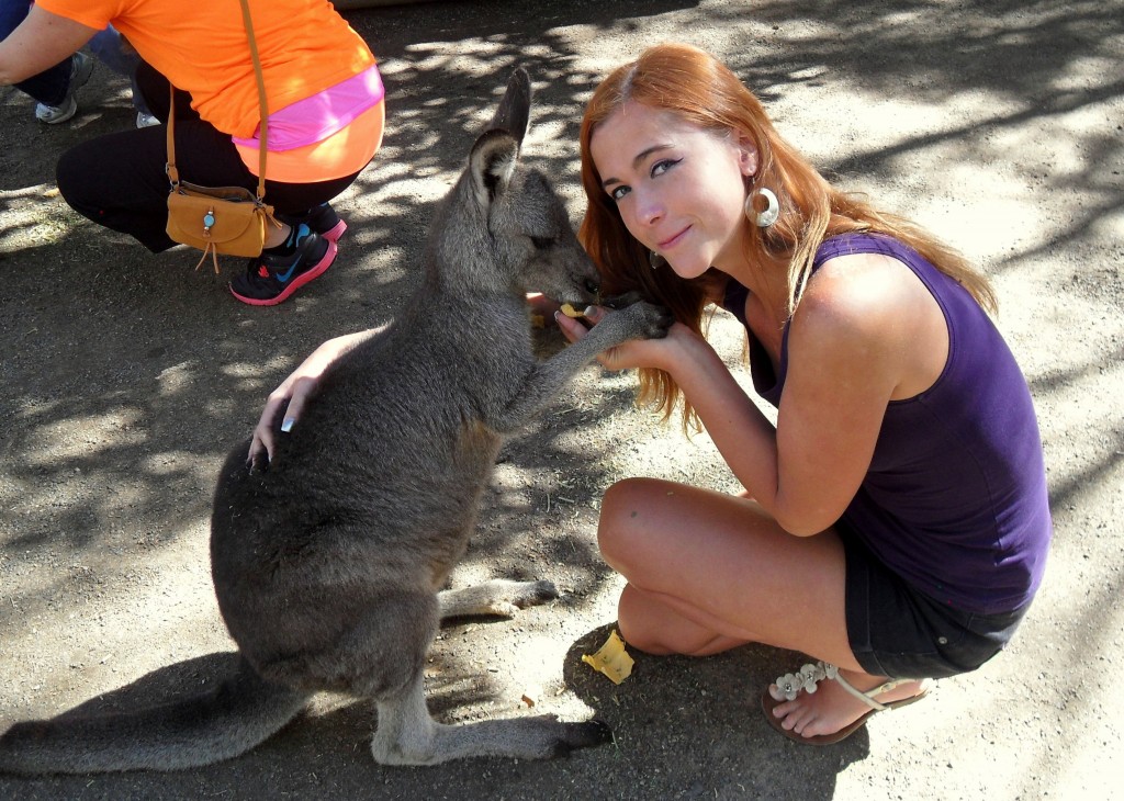 Featherdale Wildlife Park