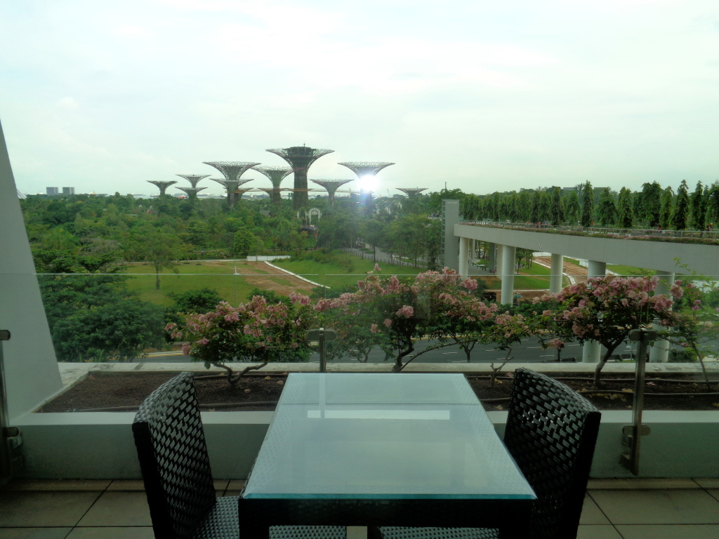 terrace overlooking the Gardens by the Bay