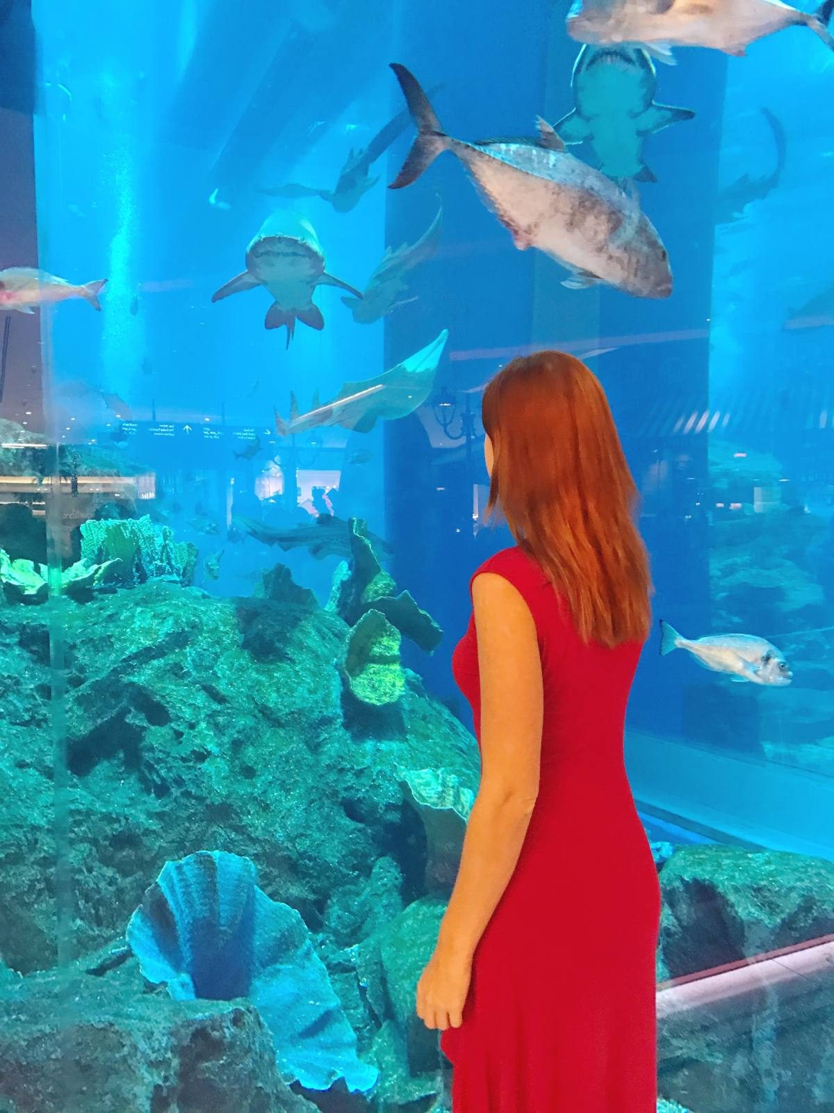 Dubai Mall Aquarium