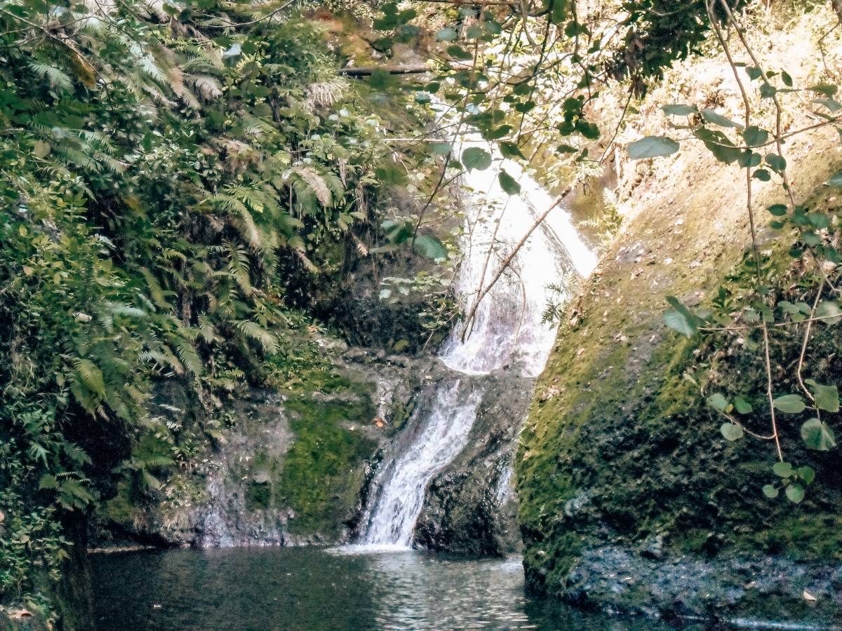 Hiking in the cook islands. Waterfall in Rarotonga