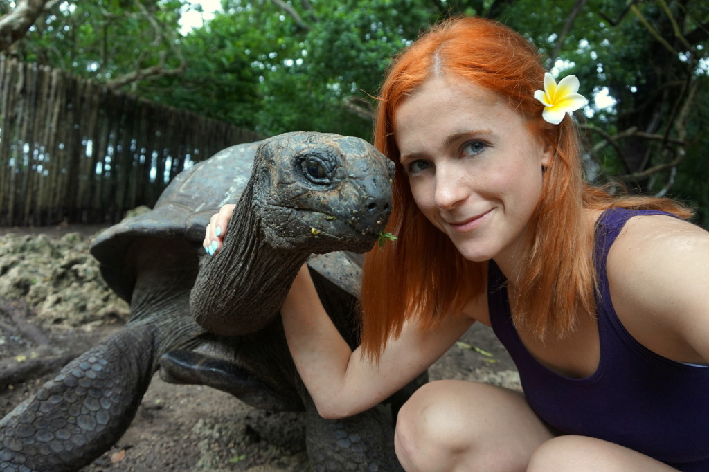 A tortoise selfie on Prison Island which is commonly recommended as a top thing to do in Stone Town, Zanzibar 