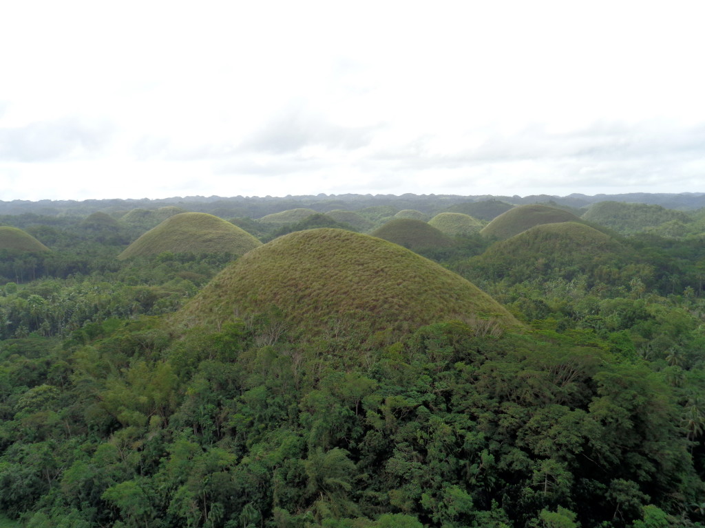 chocolate hills