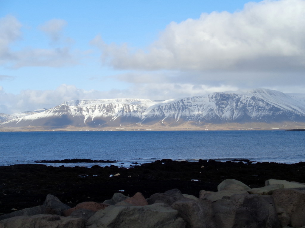 Iceland by Bus