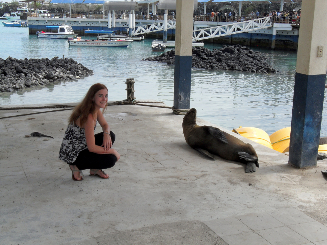 wildlife Galapagos Islands