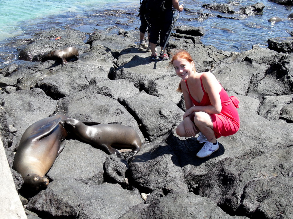 seals Galapagos