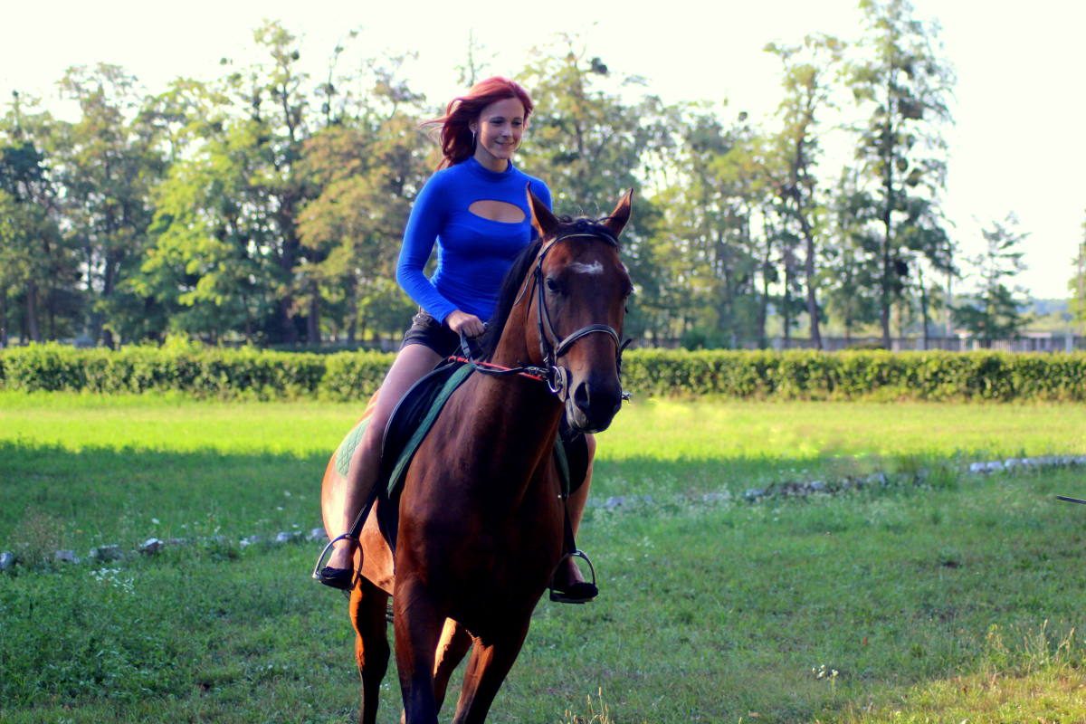 horse stables in Dumbrava Timisesti