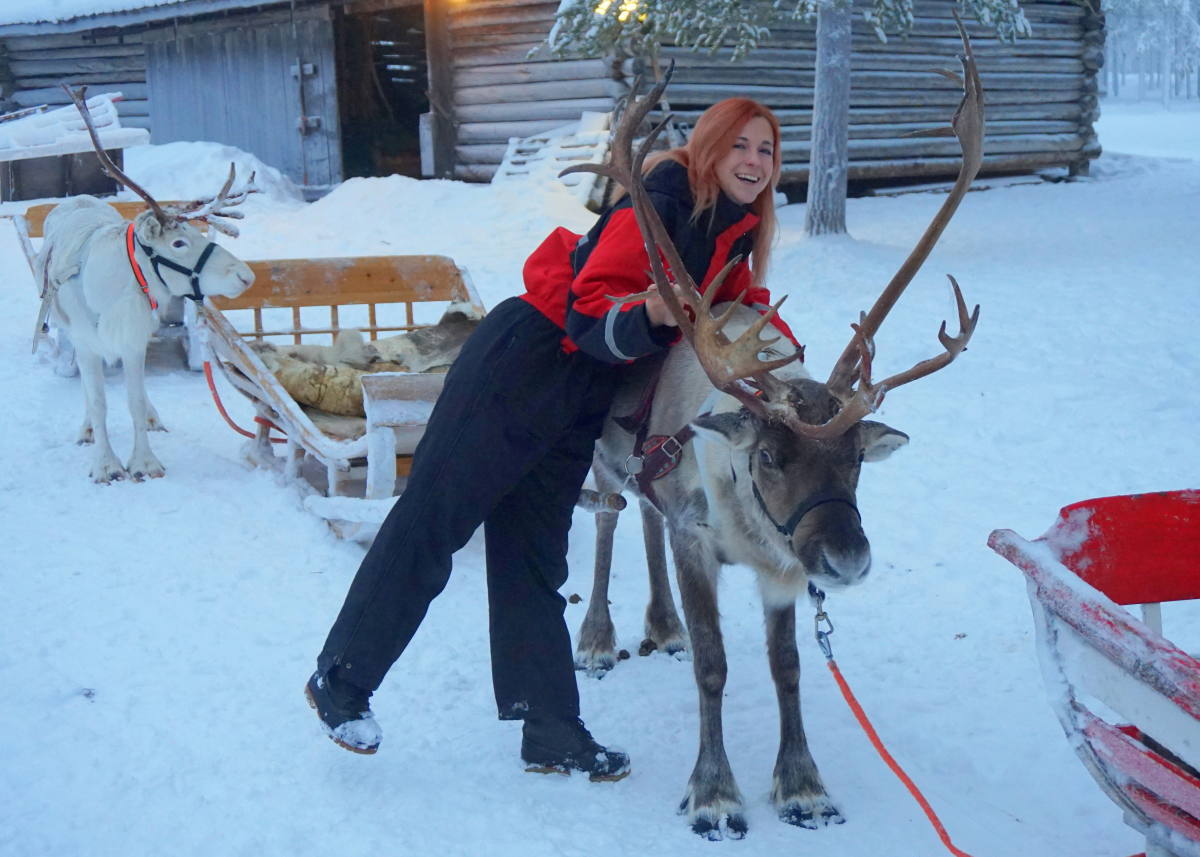 reindeer safari rovaniemi