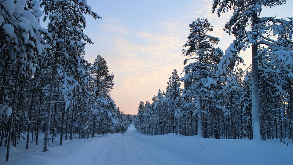 Rovaniemi, Finland: Ultimate Winter Getaway