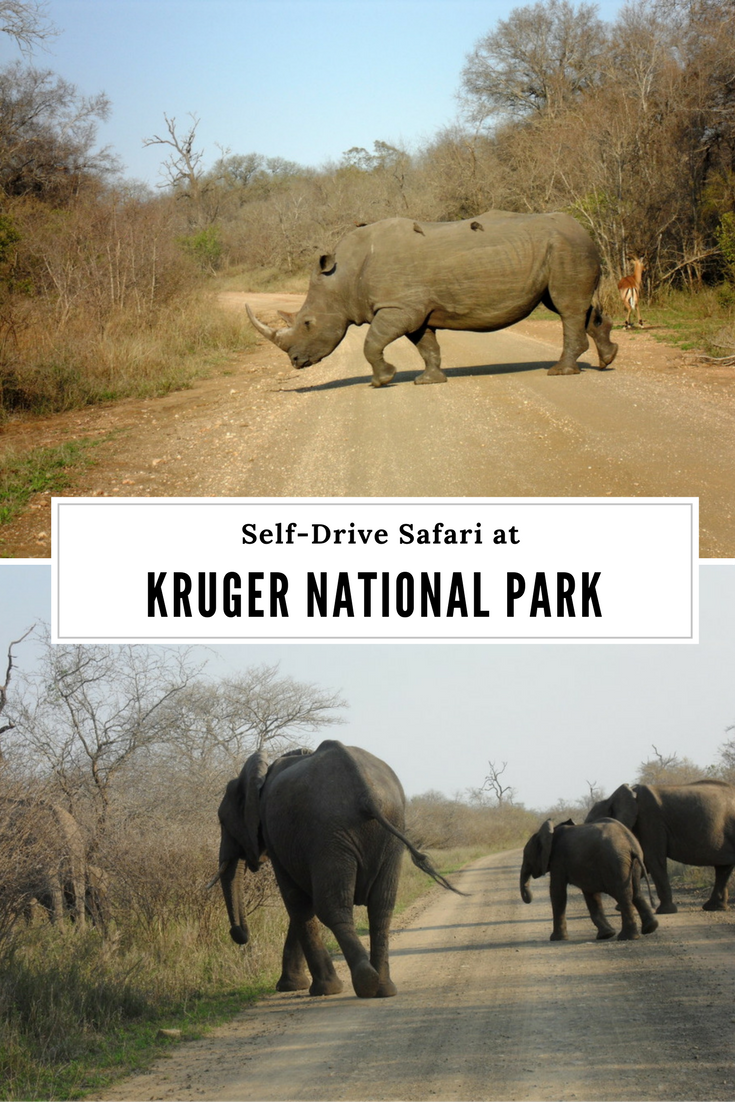 Kruger National Park Self-Drive Safari