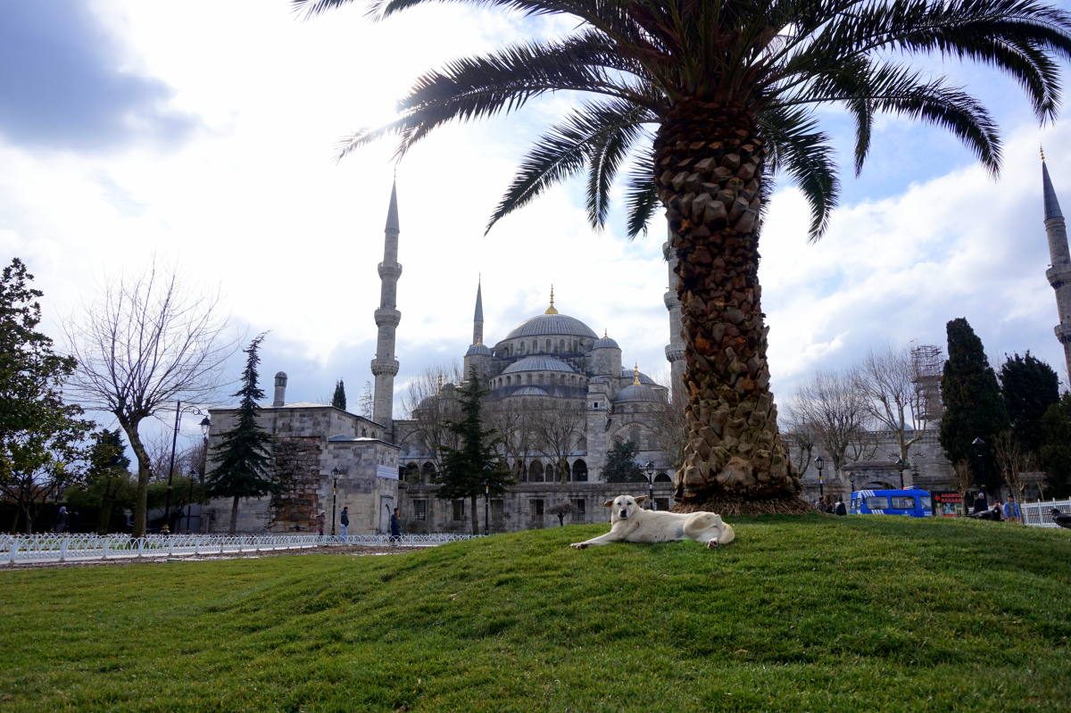 Is Istanbul Safe to Visit as a Solo Female?