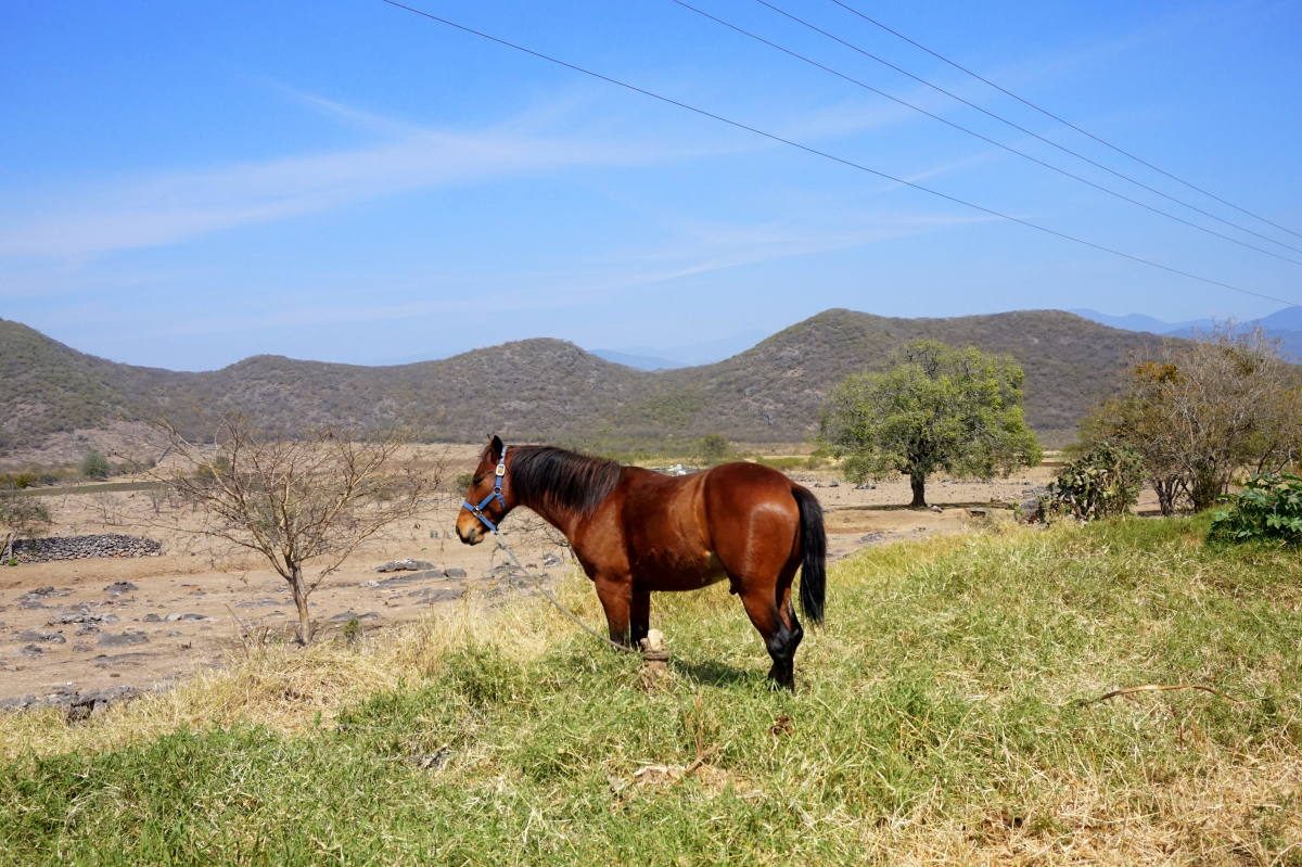 Sierra Gorda Mexico