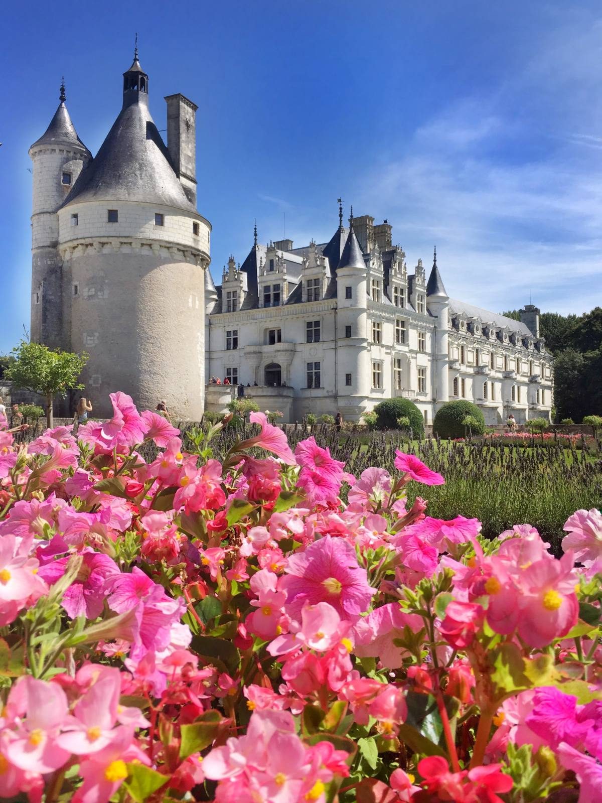 Day Trip to Loire Valley Castles: Chambord, Chenonceau, Amboise