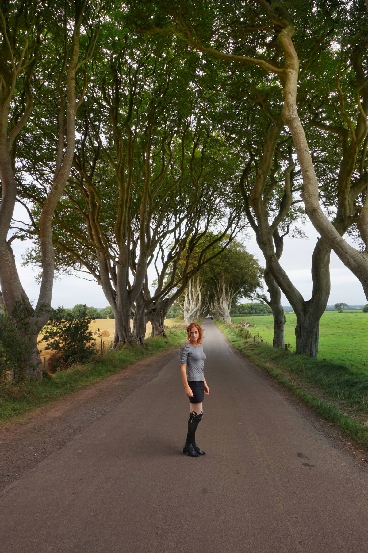 dark hedges