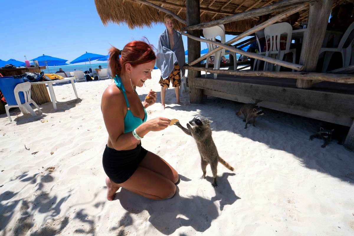 Making new friends in Cozumel!