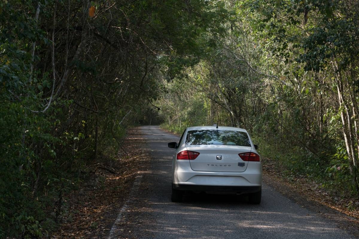 A rented sedan car parked on a remote forest road in Mexico, highlighting the freedom of renting a car for exploration.
