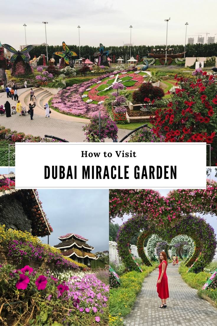 How to Visit Dubai Miracle Garden