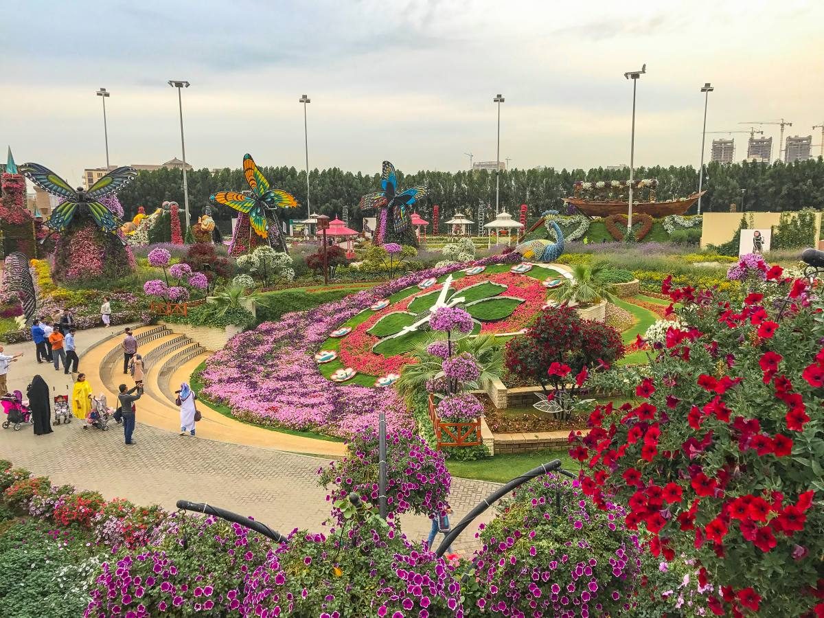 Dubai Miracle Garden Must Visit Place In Dubai