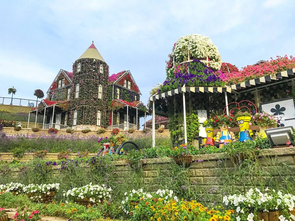 Dubai miracle garden фото