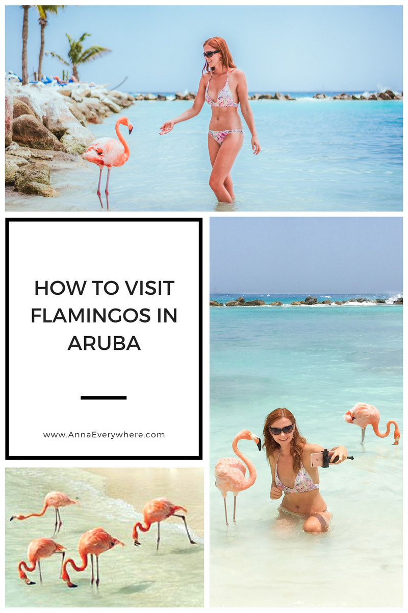 How to Visit Flamingos in Aruba: Renaissance Private Island