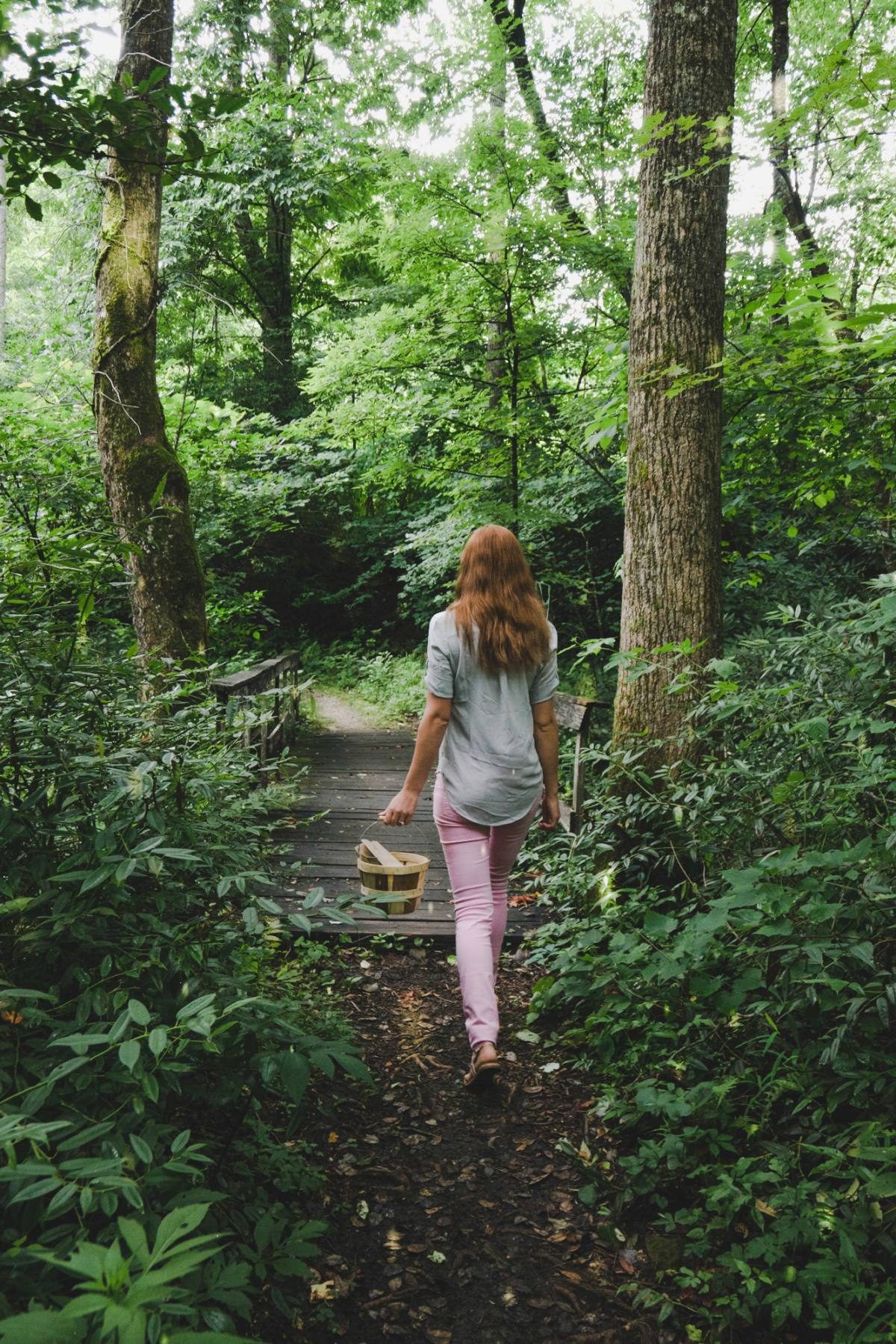 Foraging Tour Asheville