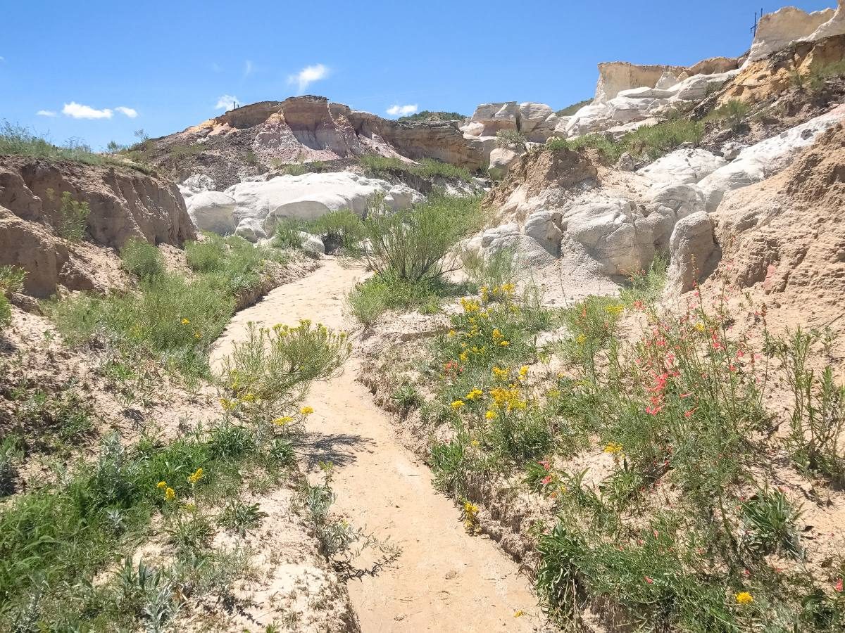 hikes in colorado springs