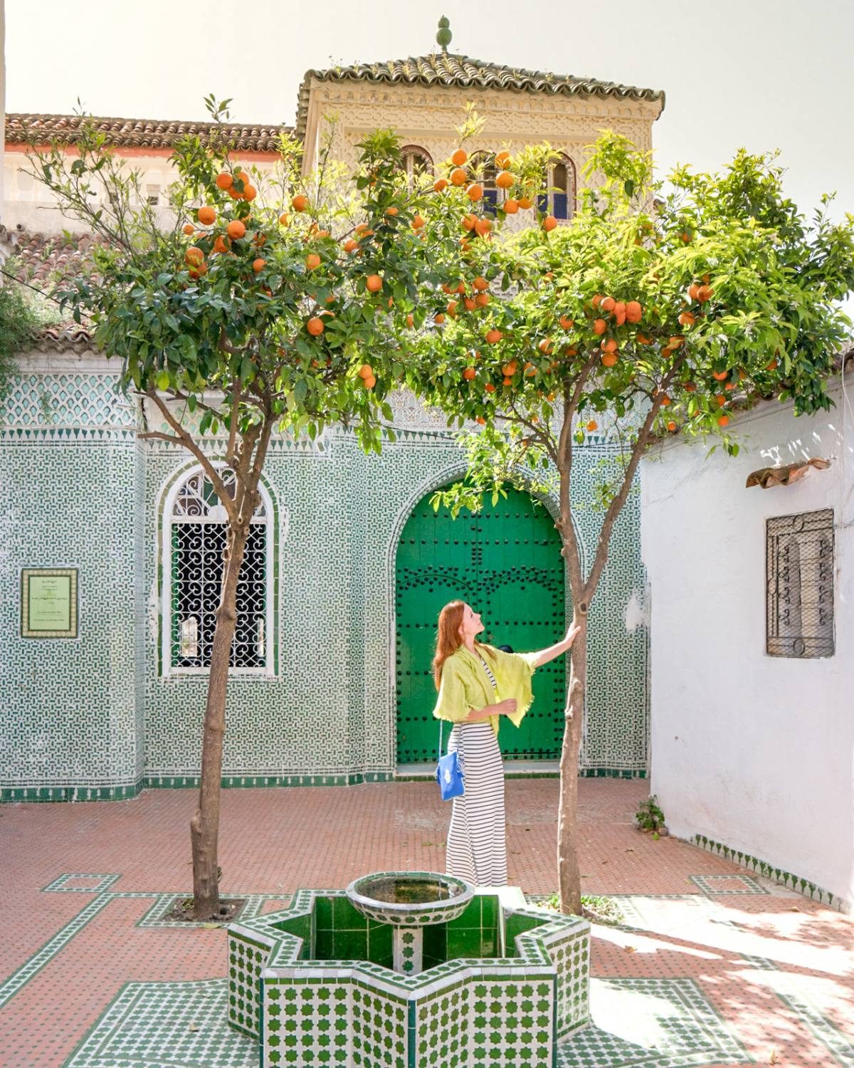 Chefchaouen green house