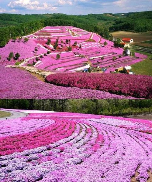 Best 10 Pink Places in the World