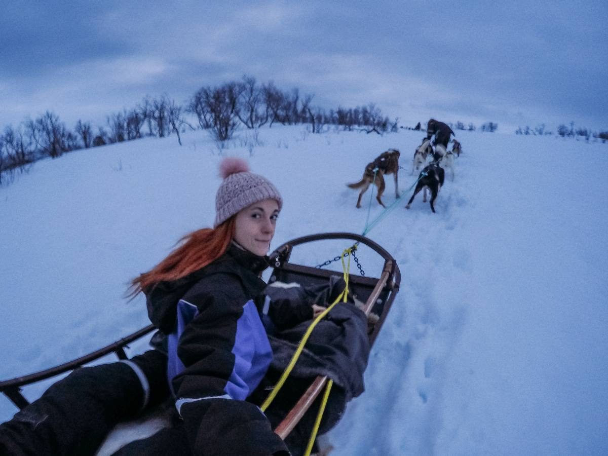 dog sledding norway