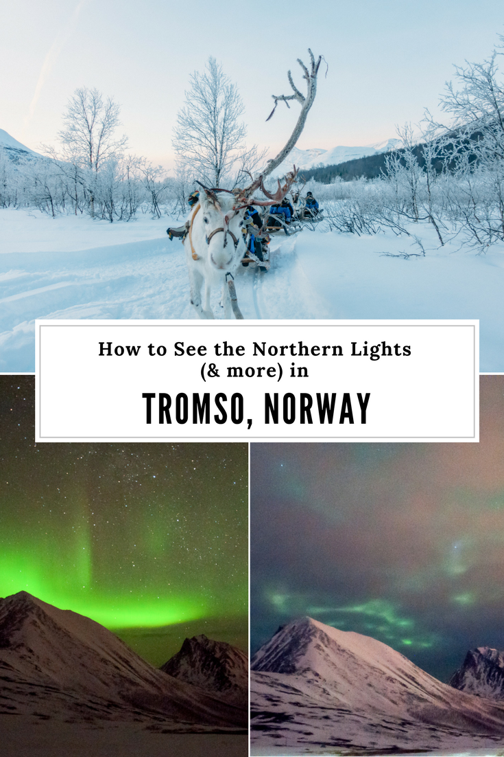 How to See the Northern Lights in Tromso