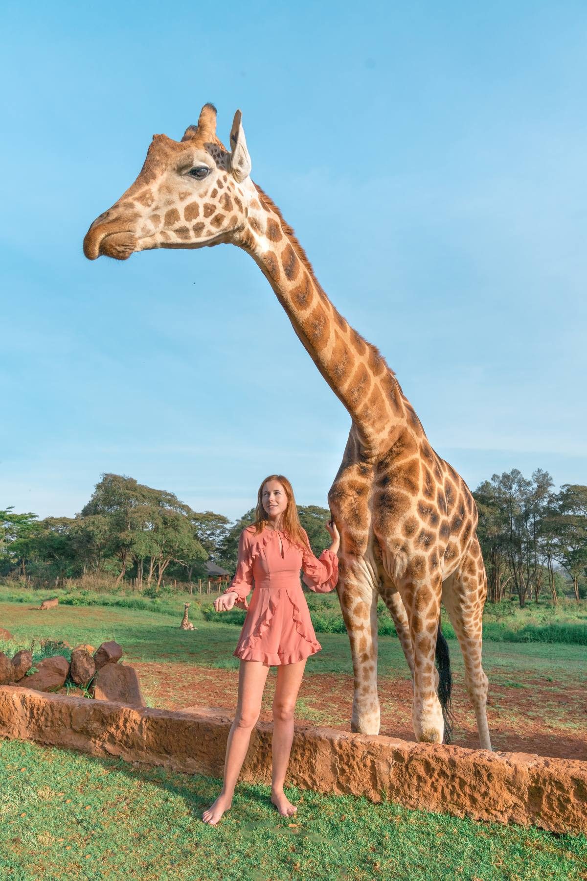 Giraffe Manor Nairobi