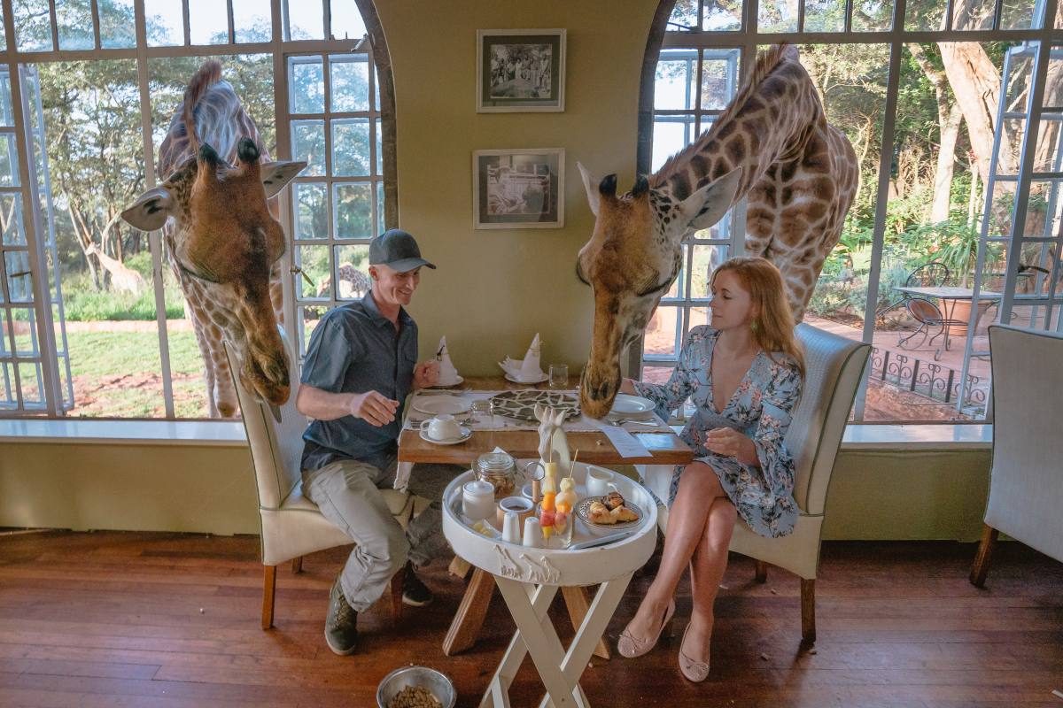 breakfast with giraffes