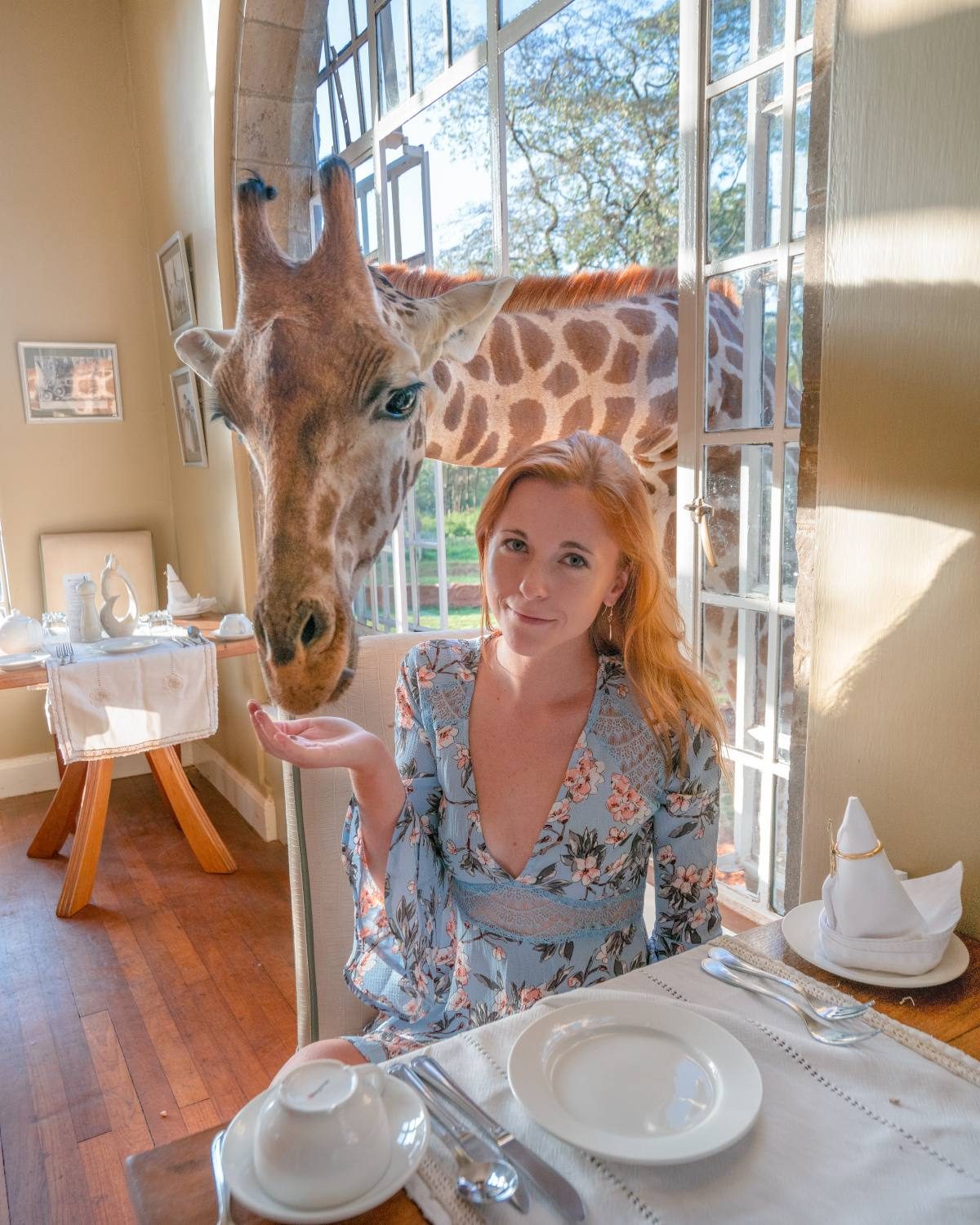 breakfast with giraffes