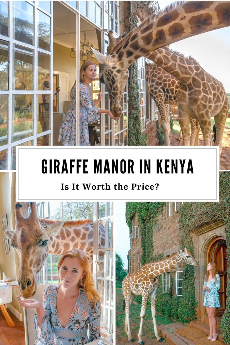 Giraffe Manor in Kenya - Is It Worth the Money? - Anna Everywhere