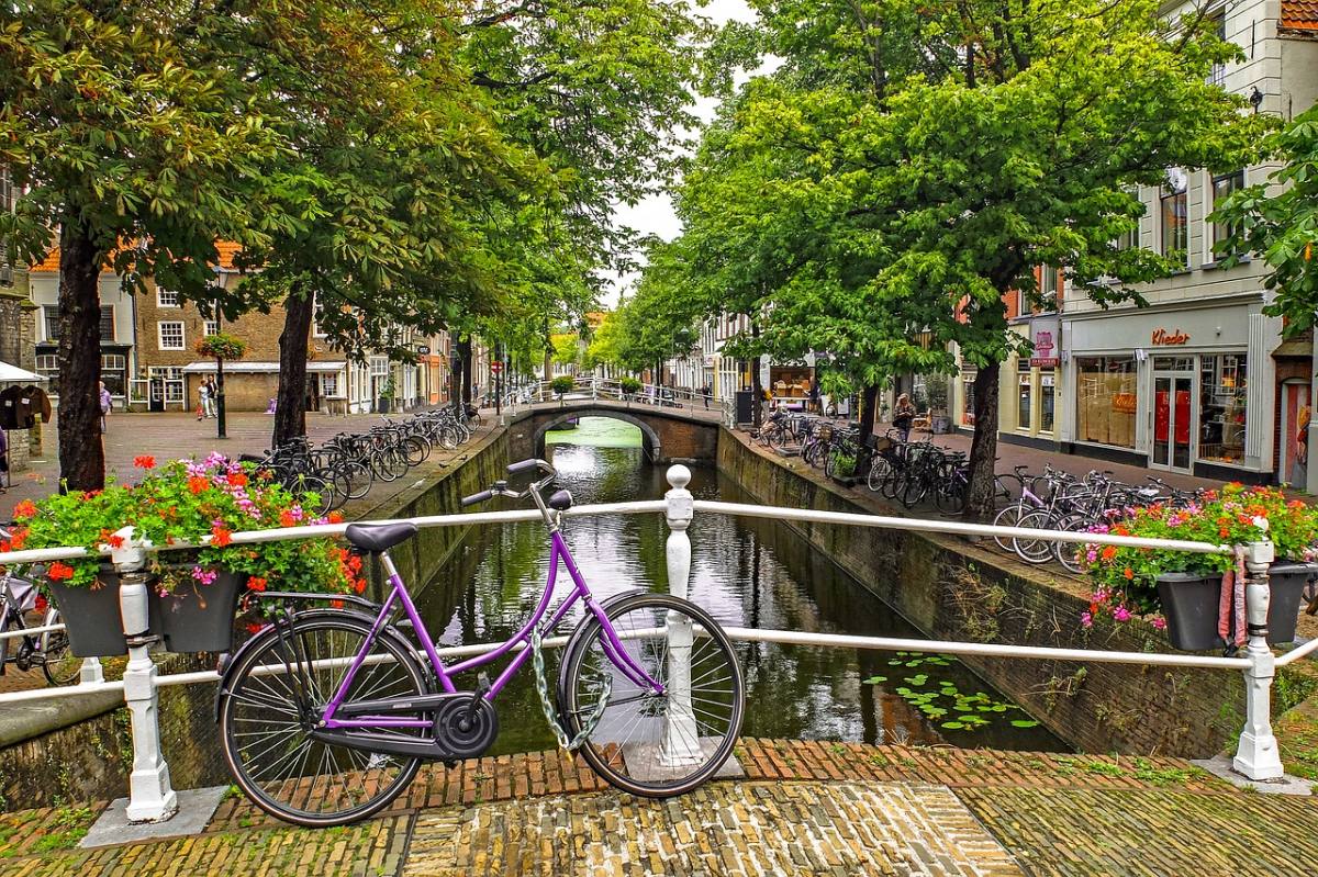 Where to Stay in Amsterdam: Local’s Guide to the Best Neighborhoods