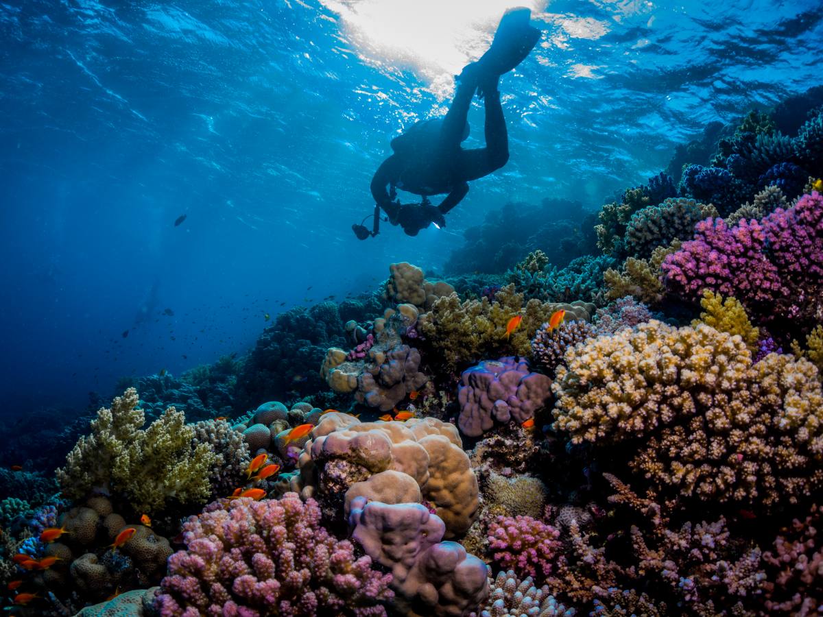 Why You Should Try Scuba Diving On Your Travels Anna Everywhere 9551