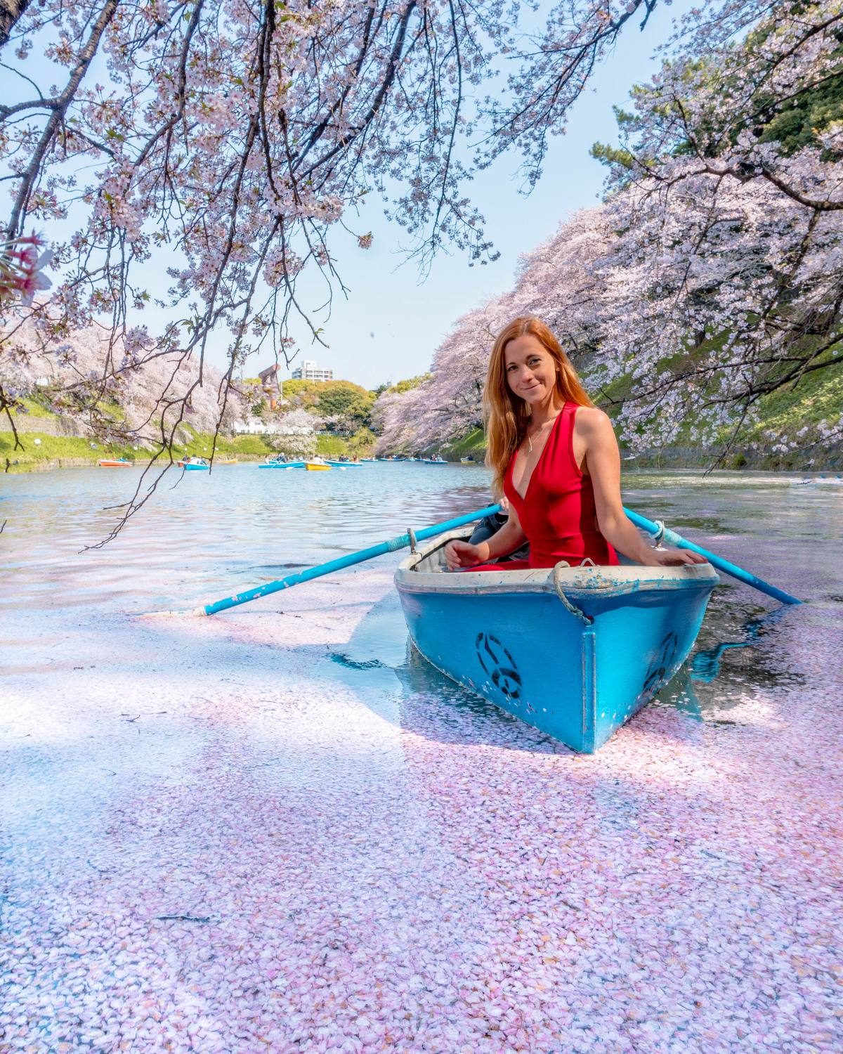 Joyful boating experience among fallen cherry blossoms is a great thing to do in Tokyo