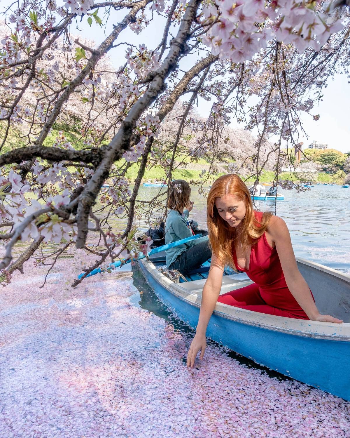 Woman in red touching cherry blossom petals while boating, an idyllic Tokyo spring scene and something to do in Tokyo in Spring