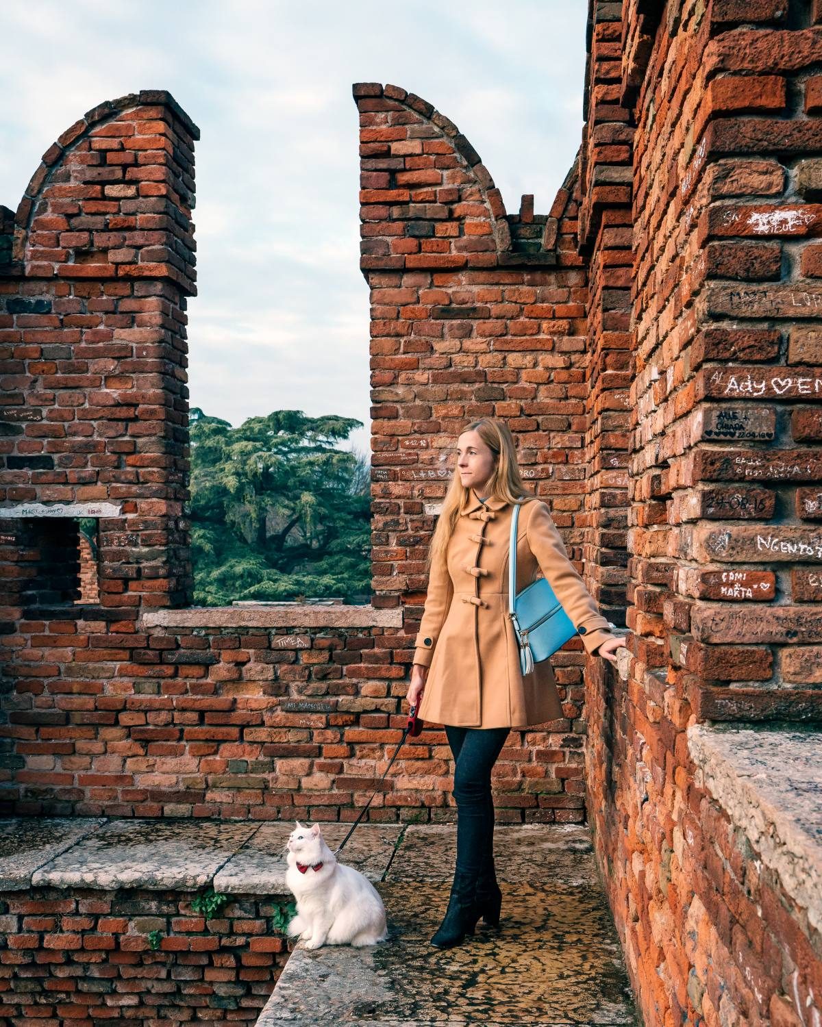 walking a cat on a leash