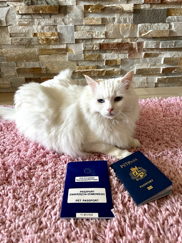 EU Pet Passport for a cat
