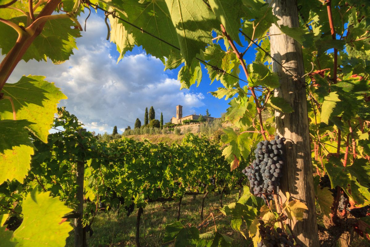 Chianti Day Trip from Florence