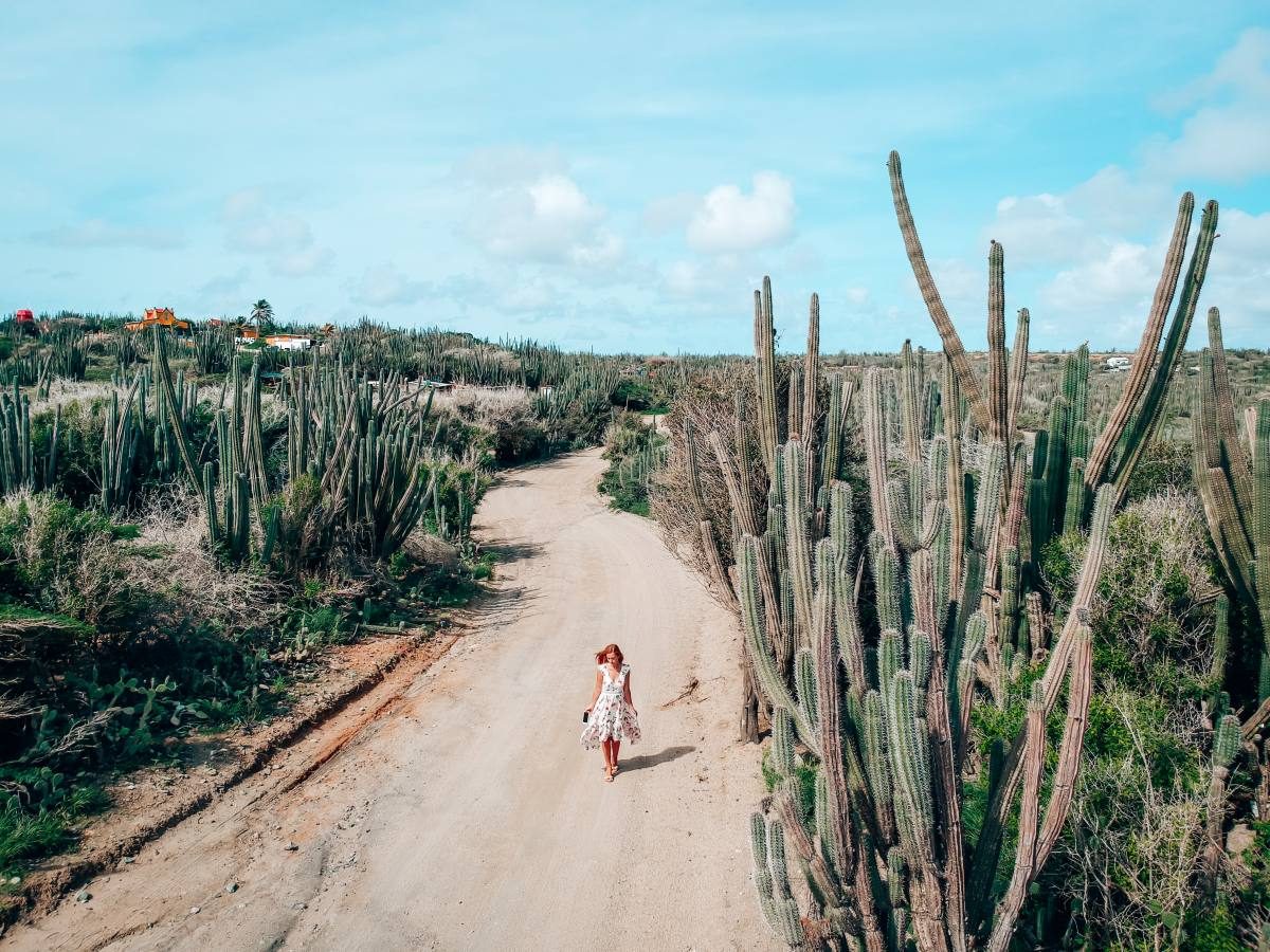 what to do in aruba arikok