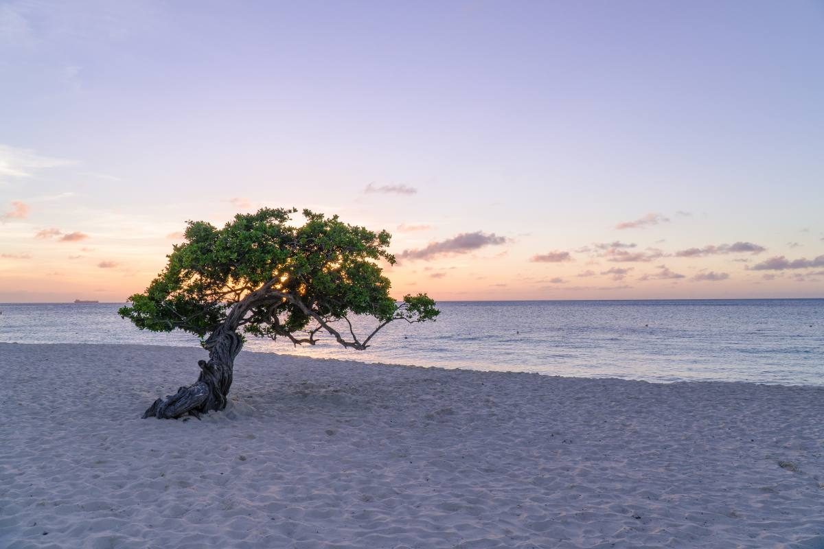 Eagle Beach Aruba