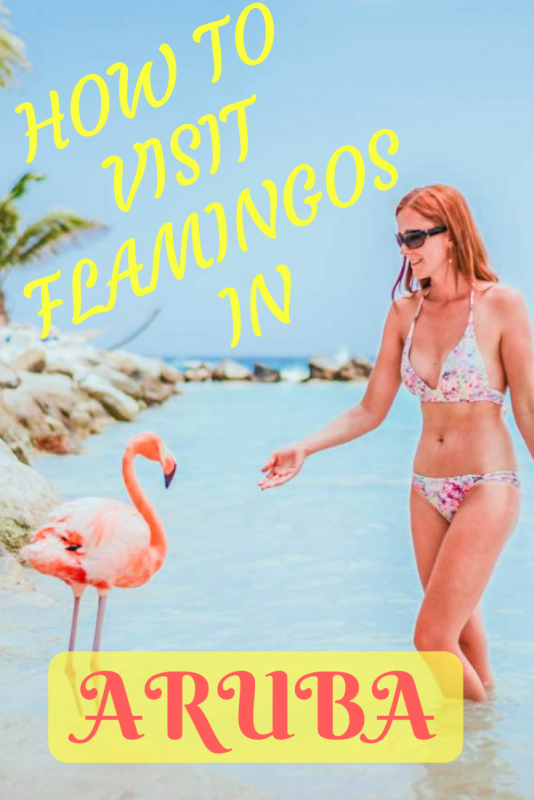 Flamingo Beach in Aruba